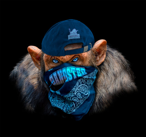 Gangsta Monkey  - Mr. Blue | Antoro.