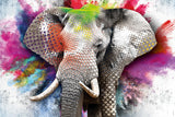 Color Elephant 2 | Antoro.