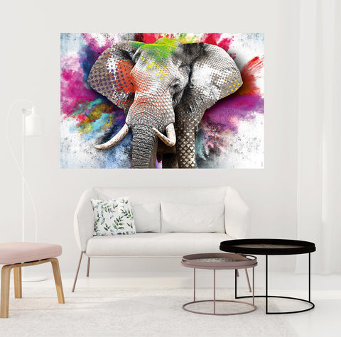 Color Elephant 2 | Antoro.