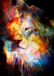 Lion King Color 2 | Antoro.
