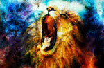 Lion King Color | Antoro.