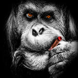 Monkey - Mr. Smoke | Antoro.