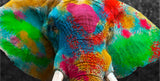 Color Elephant | Antoro.