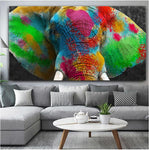 Color Elephant | Antoro.